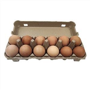 Cartrons d'ou Polpa modelada