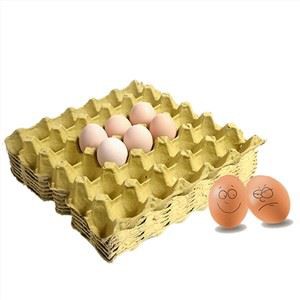 Fabricants de safates d'ou de pasta de paper