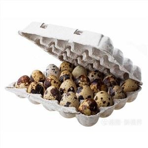 Cartrons d'ous de guatlla de polpa